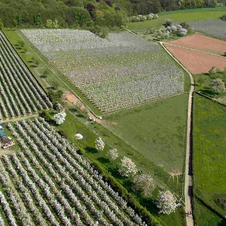 B&B - Eetcafe - Riekelt Gronsveld Luaran gambar